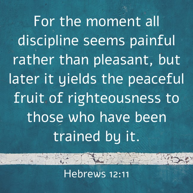 For the moment all discipline seems painful rather than pleasant, but later it yields the peaceful fruit of righteousness to those who have been trained by it. - Hebrews 12:11