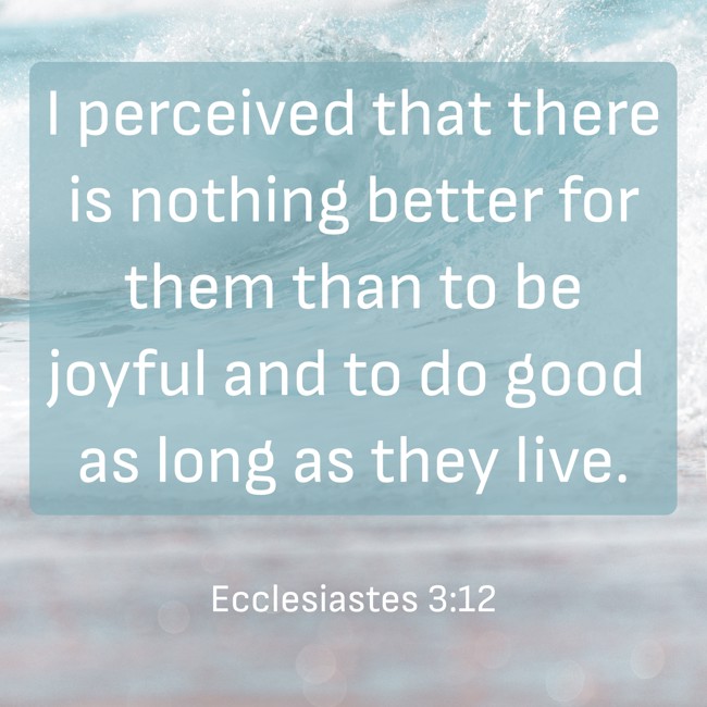 I perceived that there is nothing better for them than to be joyful and to do good as long as they live. - Ecclesiastes 3:12