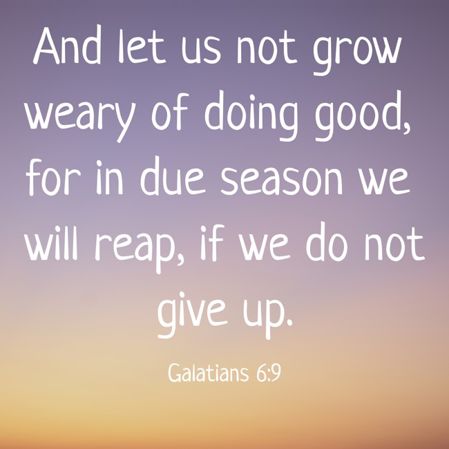 And let us not grow weary of doing good, for in due season we will reap, if we do not give up. - Galatians 6:9