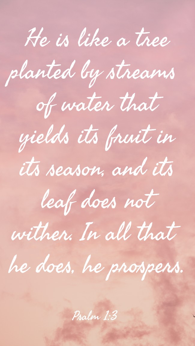 He is like a tree planted by streams of water that yields its fruit in its season, and its leaf does not wither. In all that he does, he prospers. - Psalm 1:3