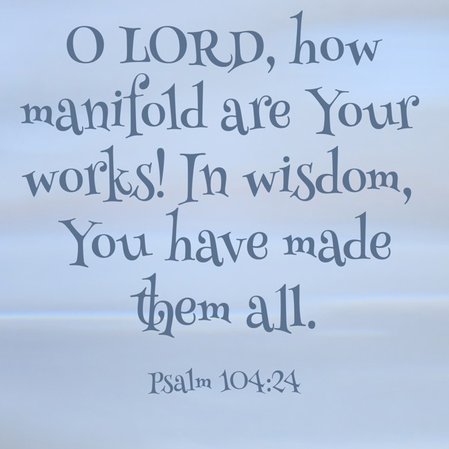 O LORD, how manifold are Your works! In wisdom, You have made them all. - Psalm 104:24