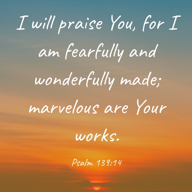I will praise You, for I am fearfully and wonderfully made; marvelous are Your works. - Psalm 139:14