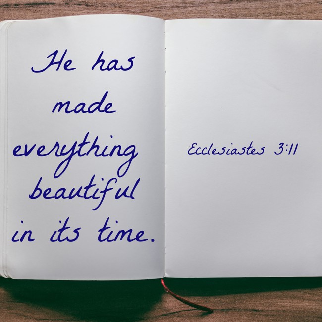 He has made everything beautiful in its time. - Ecclesiastes 3:11