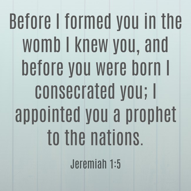 Before I formed you in the womb I knew you, and before you were born I consecrated you; I appointed you a prophet to the nations. - Jeremiah 1:5