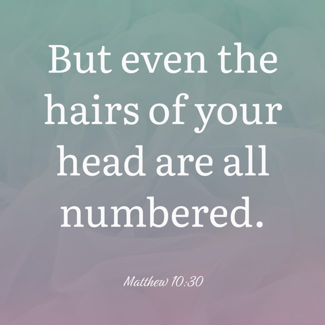 But even the hairs of your head are all numbered. - Matthew 10:30