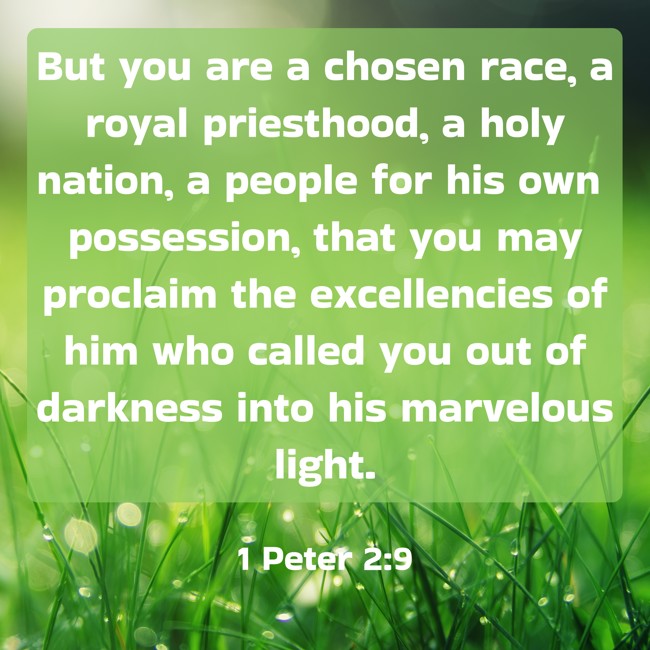 But you are a chosen race, a royal priesthood, a holy nation, a people for his own possession, that you may proclaim the excellencies of him who called you out of darkness into his marvelous light. - 1 Peter 2:9