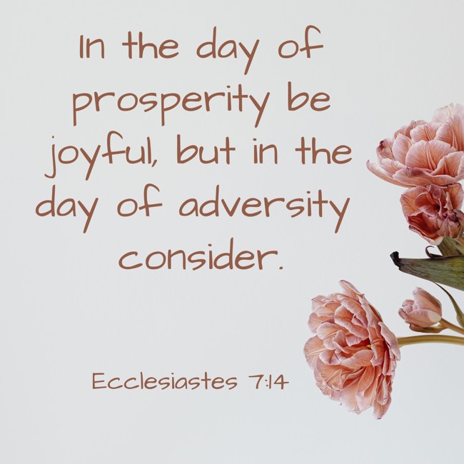 In the day of prosperity be joyful, but in the day of adversity consider. - Ecclesiastes 7:14