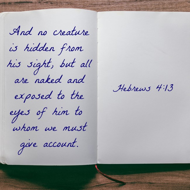 And no creature is hidden from his sight, but all are naked and exposed to the eyes of him to whom we must give account. - Hebrews 4:13