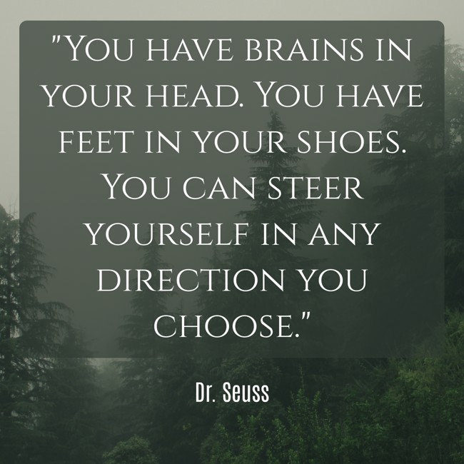 You have brains in your head. You have feet in your shoes. You can steer yourself in any direction you choose. - Dr. Seuss