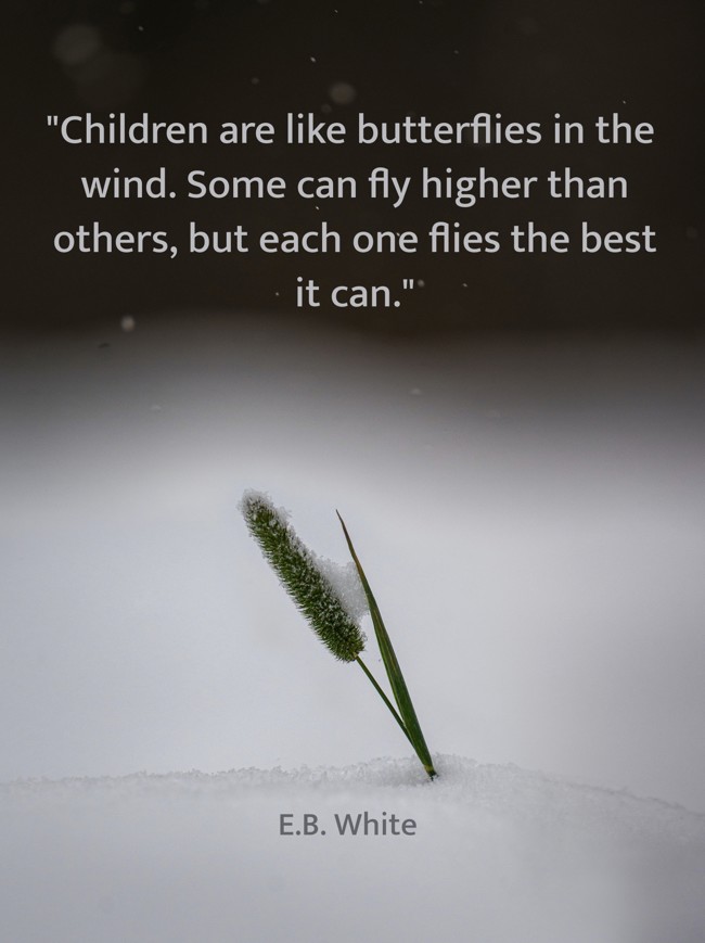 Children are like butterflies in the wind. Some can fly higher than others, but each one flies the best it can. - E.B. White