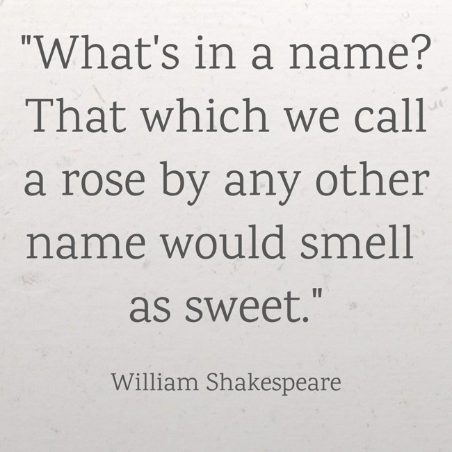 What's in a name? That which we call a rose by any other name would smell as sweet. - William Shakespeare