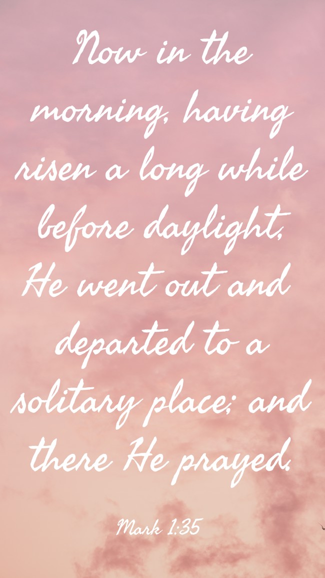 Now in the morning, having risen a long while before daylight, He went out and departed to a solitary place; and there He prayed. - Mark 1:35