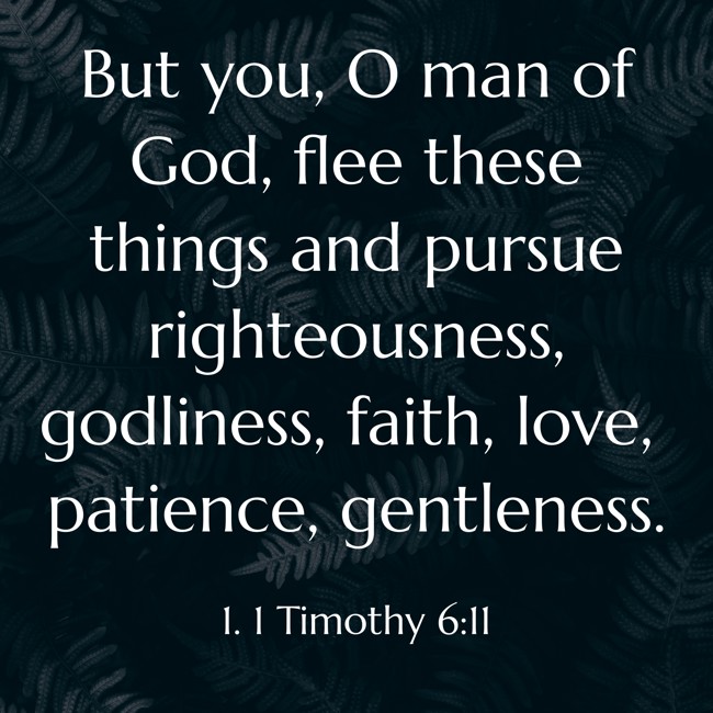 But you, O man of God, flee these things and pursue righteousness, godliness, faith, love, patience, gentleness. - 1. 1 Timothy 6:11