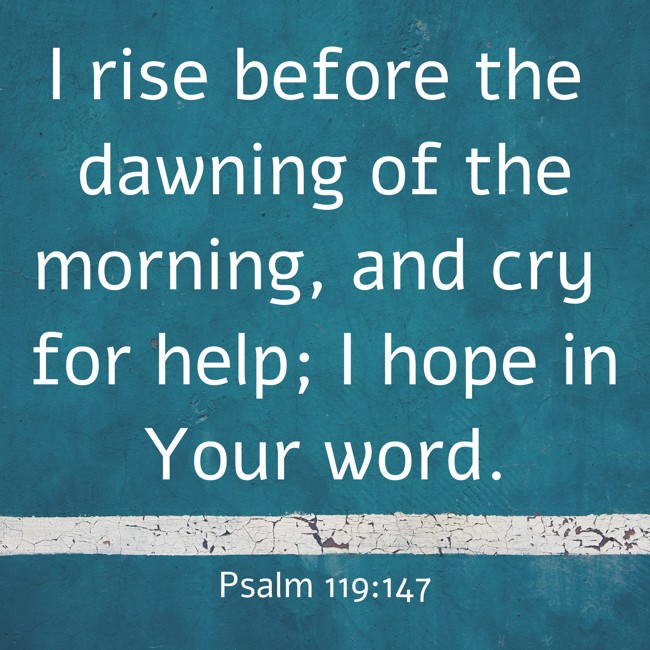 I rise before the dawning of the morning, and cry for help; I hope in Your word. - Psalm 119:147