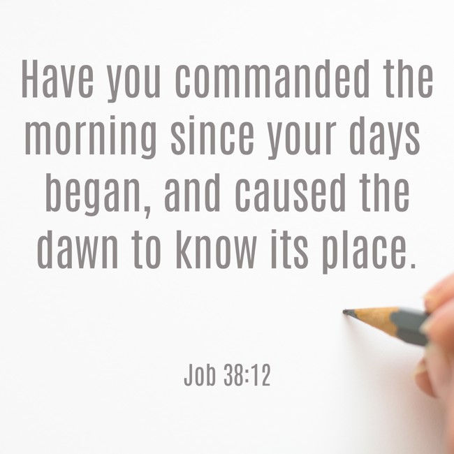 Have you commanded the morning since your days began, and caused the dawn to know its place. - Job 38:12