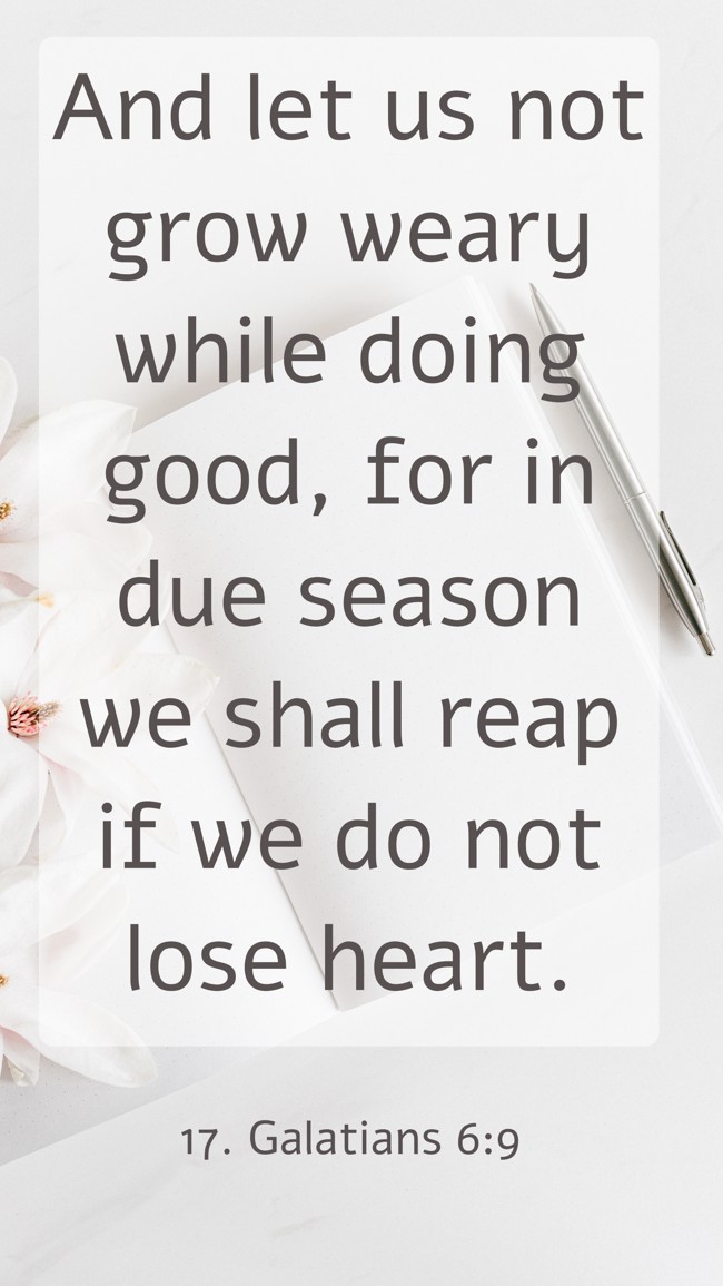And let us not grow weary while doing good, for in due season we shall reap if we do not lose heart. - 17. Galatians 6:9