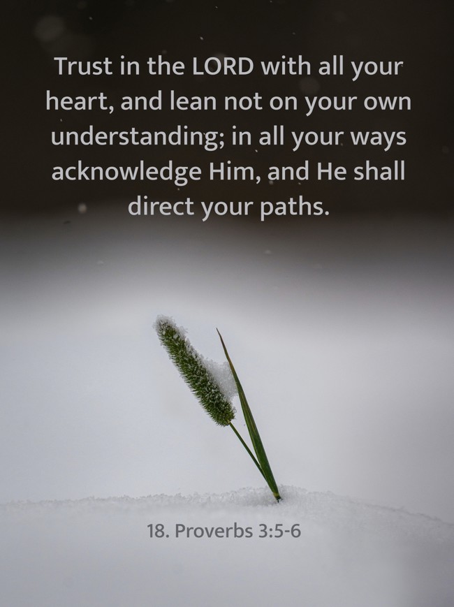 Trust in the LORD with all your heart, and lean not on your own understanding; in all your ways acknowledge Him, and He shall direct your paths. - 18. Proverbs 3:5-6