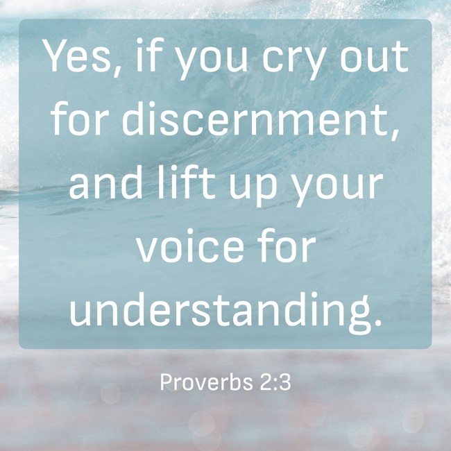 Yes, if you cry out for discernment, and lift up your voice for understanding. - Proverbs 2:3