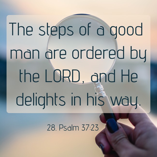 The steps of a good man are ordered by the LORD, and He delights in his way. - 28. Psalm 37:23