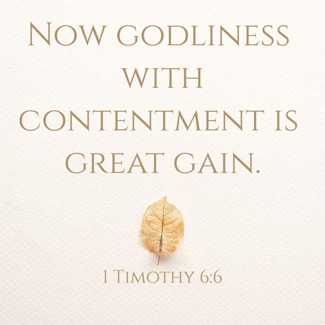 Now godliness with contentment is great gain. - 1 Timothy 6:6