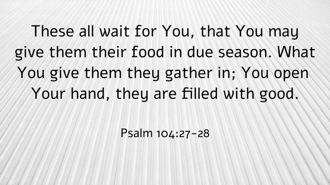These all wait for You, that You may give them their food in due season. What You give them they gather in; You open Your hand, they are filled with good. - Psalm 104:27-28