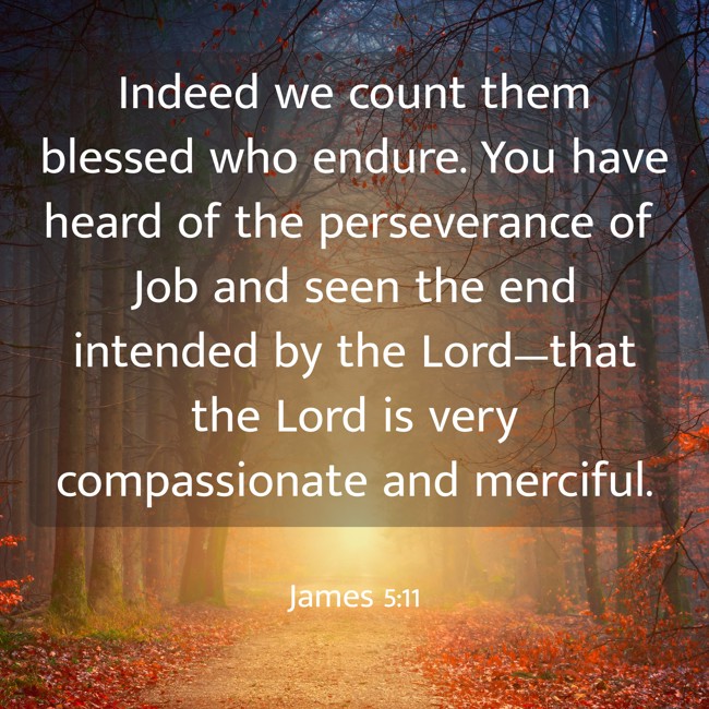 Indeed we count them blessed who endure. You have heard of the perseverance of Job and seen the end intended by the Lord—that the Lord is very compassionate and merciful. - James 5:11