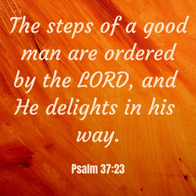 The steps of a good man are ordered by the LORD, and He delights in his way. - Psalm 37:23