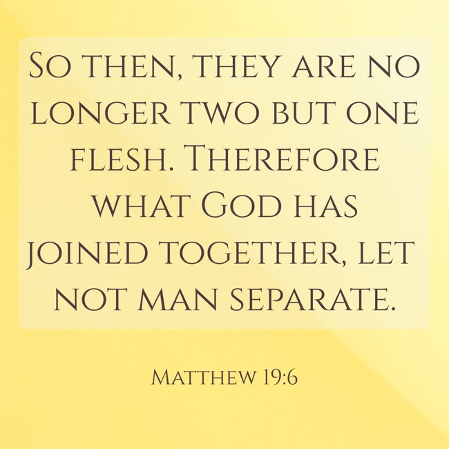 So then, they are no longer two but one flesh. Therefore what God has joined together, let not man separate. - Matthew 19:6