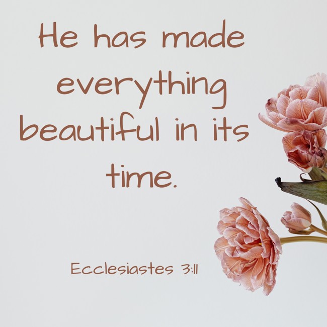 He has made everything beautiful in its time. - Ecclesiastes 3:11