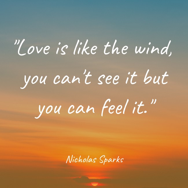 Love is like the wind, you can't see it but you can feel it. - Nicholas Sparks