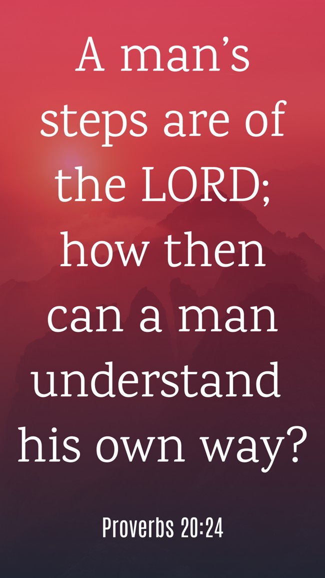 A man’s steps are of the LORD; how then can a man understand his own way? - Proverbs 20:24
