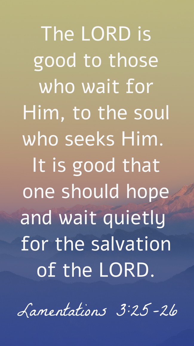 The LORD is good to those who wait for Him, to the soul who seeks Him. It is good that one should hope and wait quietly for the salvation of the LORD. - Lamentations 3:25-26