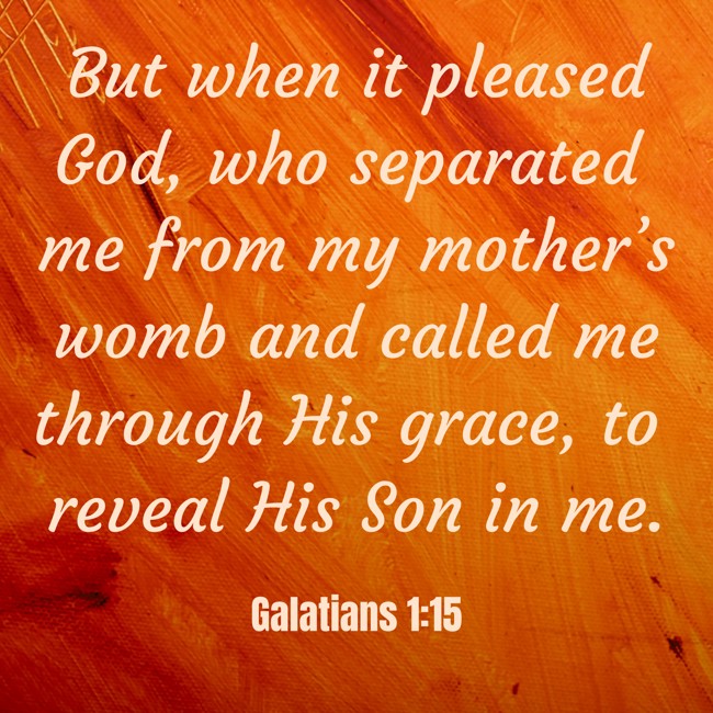 But when it pleased God, who separated me from my mother’s womb and called me through His grace, to reveal His Son in me. - Galatians 1:15