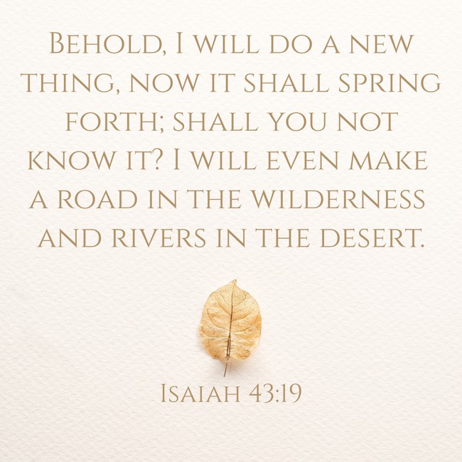 Behold, I will do a new thing, now it shall spring forth; shall you not know it? I will even make a road in the wilderness and rivers in the desert. - Isaiah 43:19