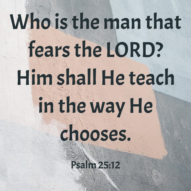 Who is the man that fears the LORD? Him shall He teach in the way He chooses. - Psalm 25:12