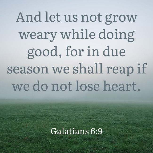  And let us not grow weary while doing good, for in due season we shall reap if we do not lose heart.   - Galatians 6:9 