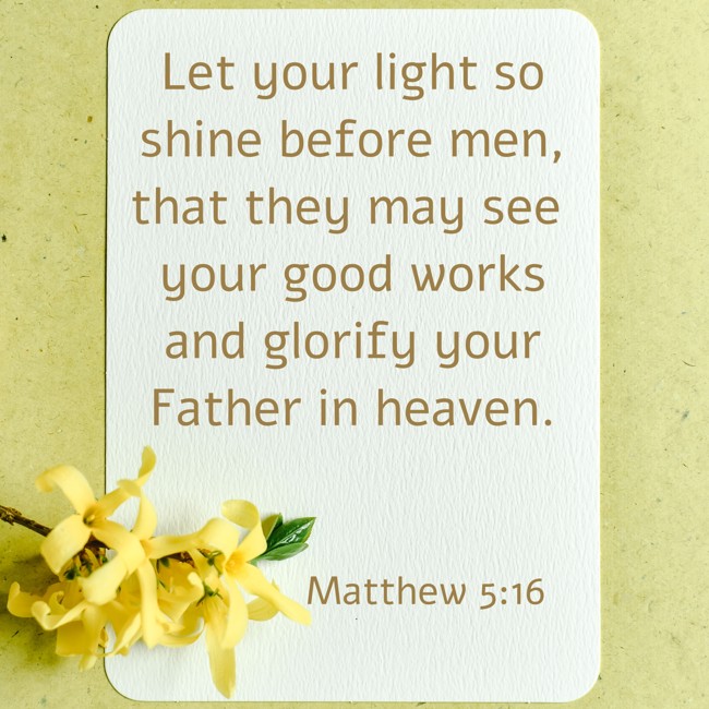  Let your light so shine before men, that they may see your good works and glorify your Father in heaven.   - Matthew 5:16 