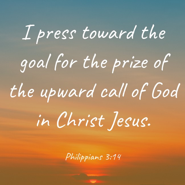  I press toward the goal for the prize of the upward call of God in Christ Jesus.   - Philippians 3:14 