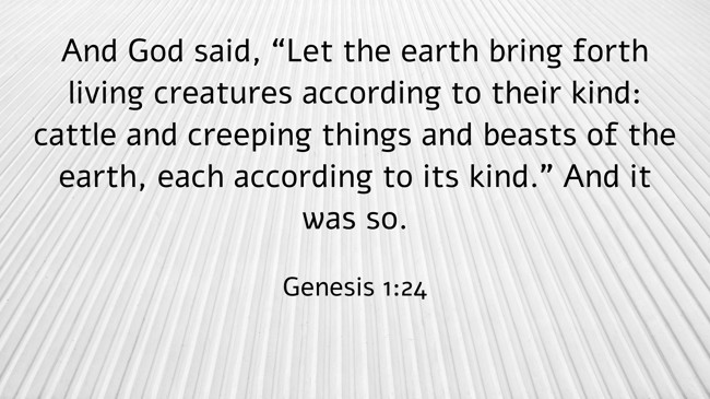 And God said, “Let the earth bring forth living creatures according to their kind: cattle and creeping things and beasts of the earth, each according to its kind.” And it was so. - Genesis 1:24