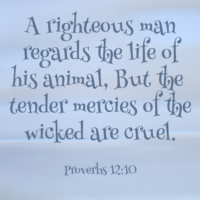 A righteous man regards the life of his animal, But the tender mercies of the wicked are cruel. - Proverbs 12:10