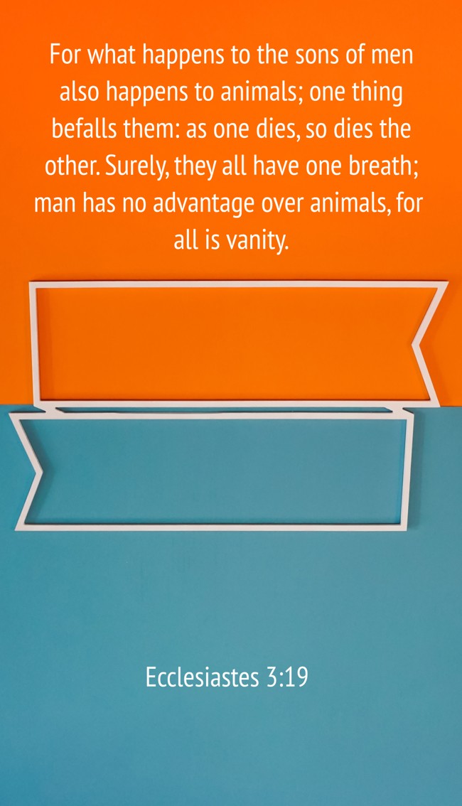 For what happens to the sons of men also happens to animals; one thing befalls them: as one dies, so dies the other. Surely, they all have one breath; man has no advantage over animals, for all is vanity. - Ecclesiastes 3:19