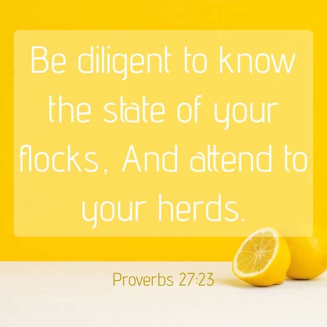 Be diligent to know the state of your flocks, And attend to your herds. - Proverbs 27:23