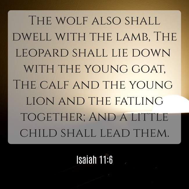The wolf also shall dwell with the lamb, The leopard shall lie down with the young goat, The calf and the young lion and the fatling together; And a little child shall lead them. - Isaiah 11:6