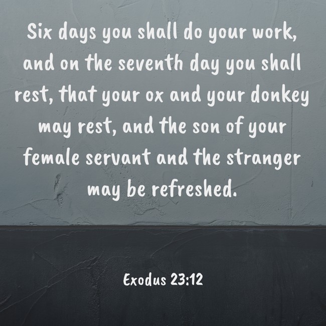 Six days you shall do your work, and on the seventh day you shall rest, that your ox and your donkey may rest, and the son of your female servant and the stranger may be refreshed. - Exodus 23:12