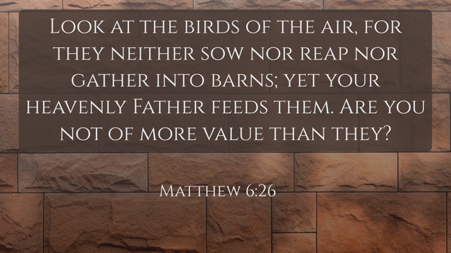 Look at the birds of the air, for they neither sow nor reap nor gather into barns; yet your heavenly Father feeds them. Are you not of more value than they? - Matthew 6:26
