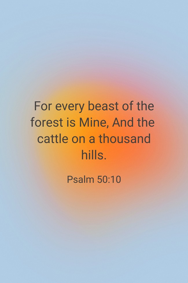 For every beast of the forest is Mine, And the cattle on a thousand hills. - Psalm 50:10