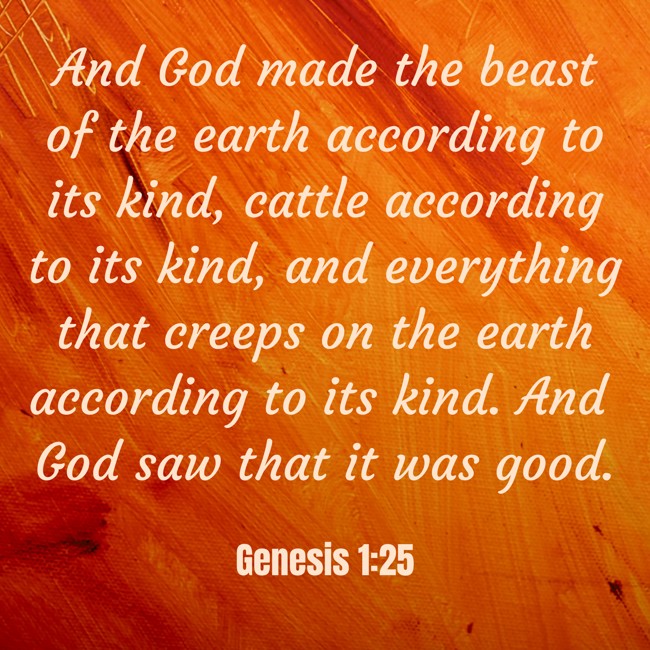 And God made the beast of the earth according to its kind, cattle according to its kind, and everything that creeps on the earth according to its kind. And God saw that it was good. - Genesis 1:25