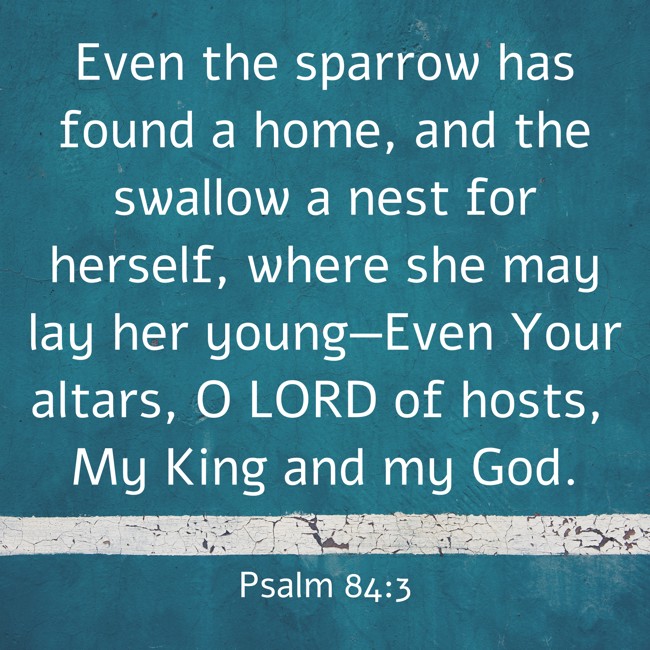 Even the sparrow has found a home, and the swallow a nest for herself, where she may lay her young—Even Your altars, O LORD of hosts, My King and my God. - Psalm 84:3