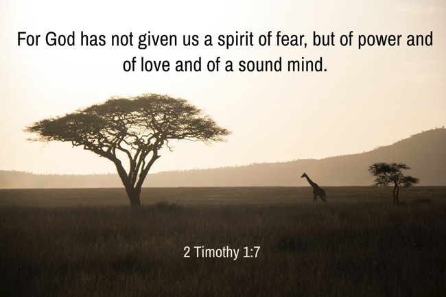 For God has not given us a spirit of fear, but of power and of love and of a sound mind. - 2 Timothy 1:7