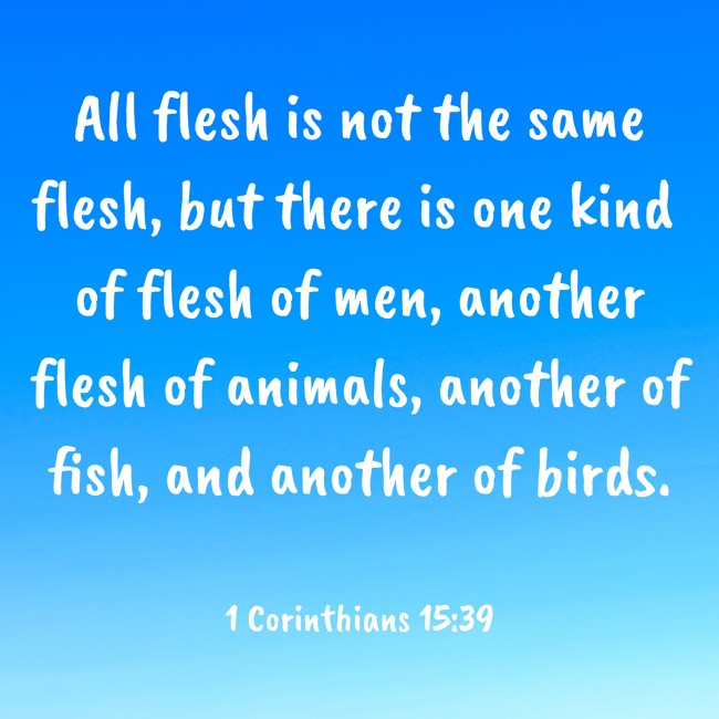 All flesh is not the same flesh, but there is one kind of flesh of men, another flesh of animals, another of fish, and another of birds. - 1 Corinthians 15:39